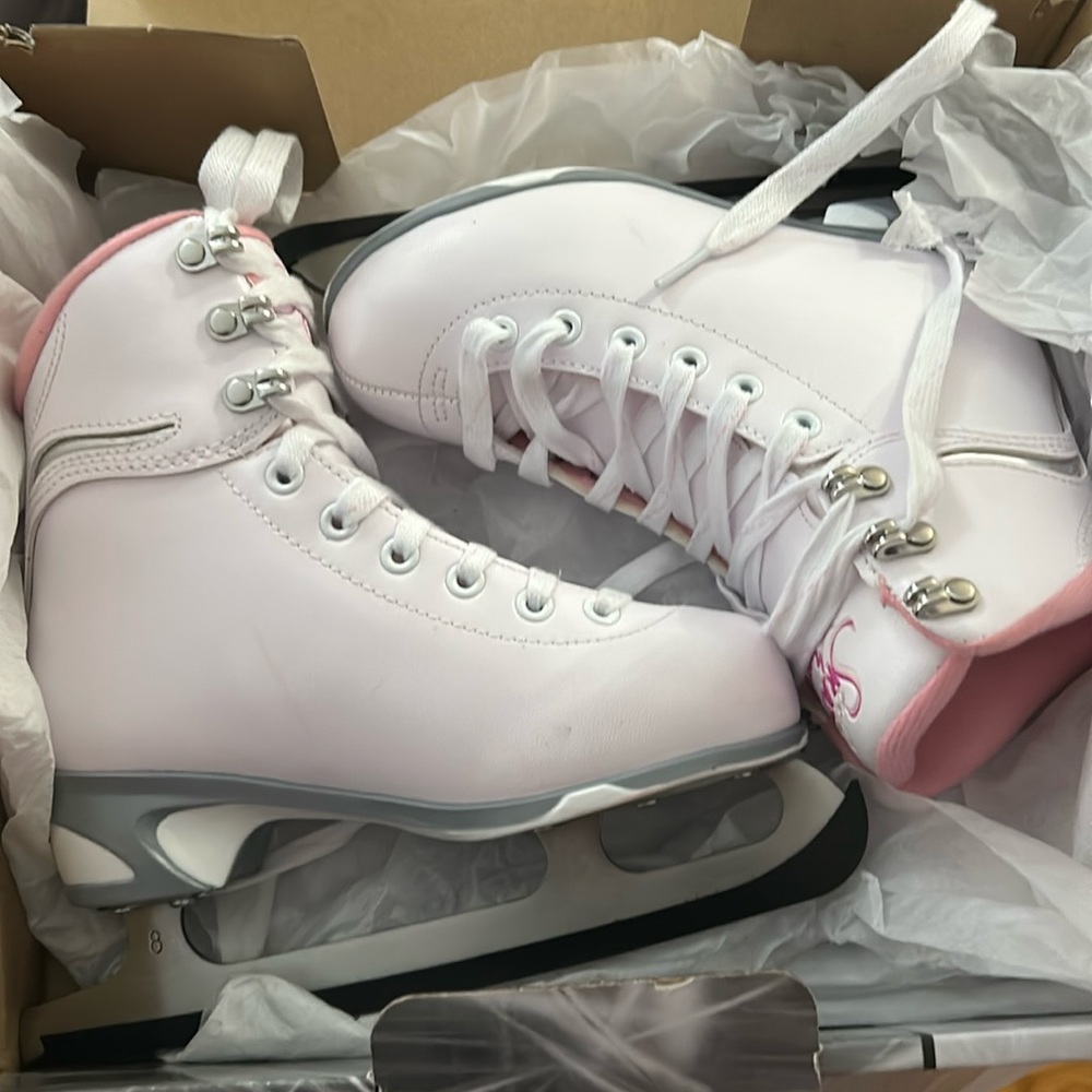 Ice skate
